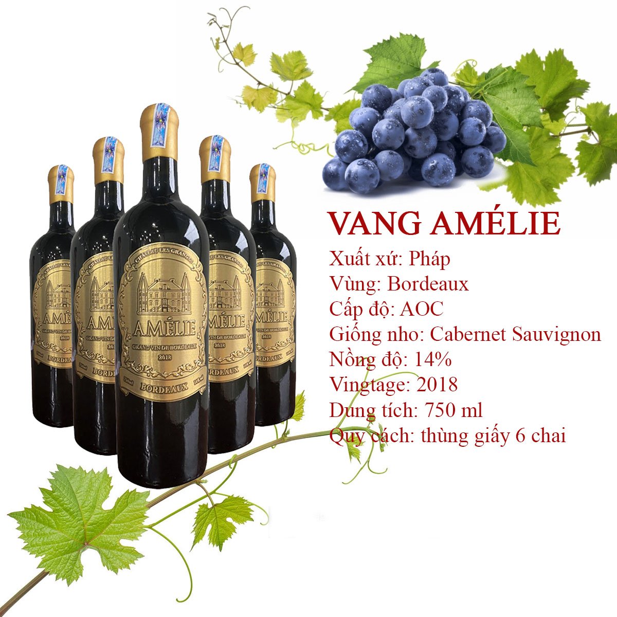 Vì Sao Rượu Vang Pháp Bordeaux AOC Cabernet Sauvignon Được Doanh Nghiệp Ưa Chuộng? Vì Sao Rượu Vang Pháp Bordeaux AOC Cabernet Sauvignon Được Doanh Nghiệp Ưa Chuộng?