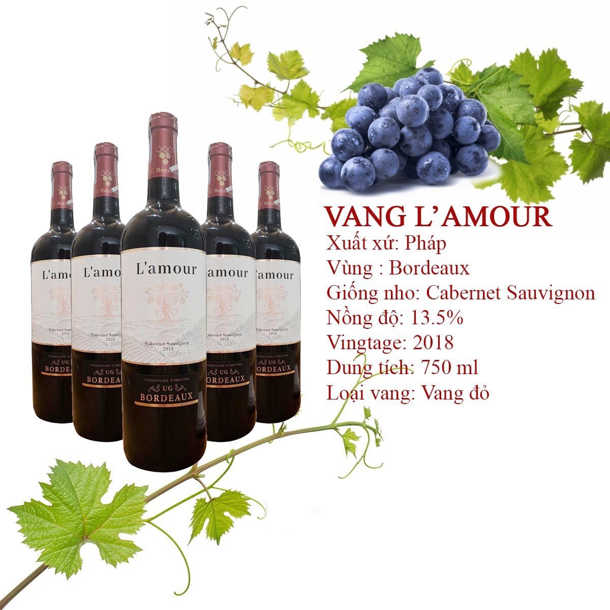 Thông Tin Sản Phẩm – Vang Pháp L’amour Thông Tin Sản Phẩm – Vang Pháp L’amour