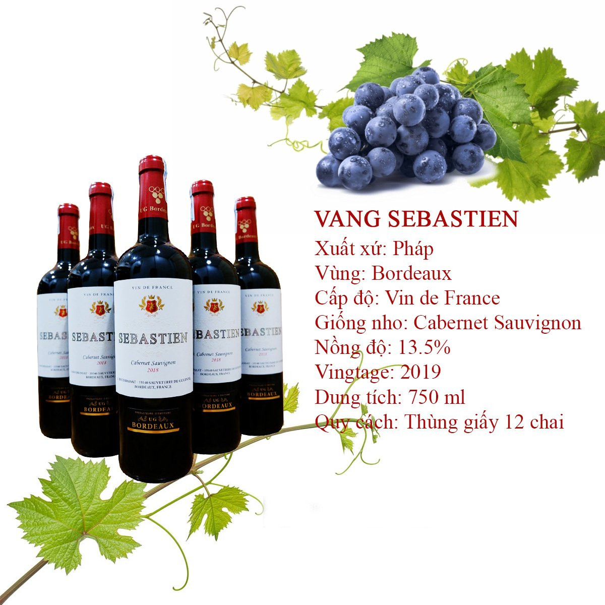 Thông Tin Sản Phẩm – Vang Pháp Sebastien Thông Tin Sản Phẩm – Vang Pháp Sebastien