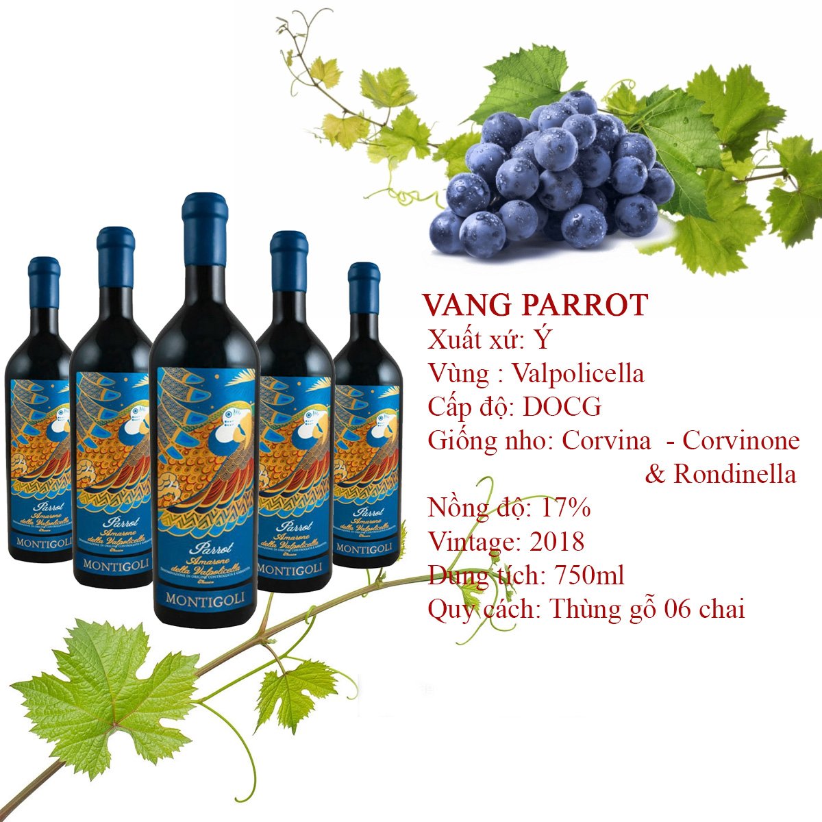 Thông Tin Sản Phẩm – Rượu Vang Ý Parrot DOCG Thông Tin Sản Phẩm – Rượu Vang Ý Parrot DOCG