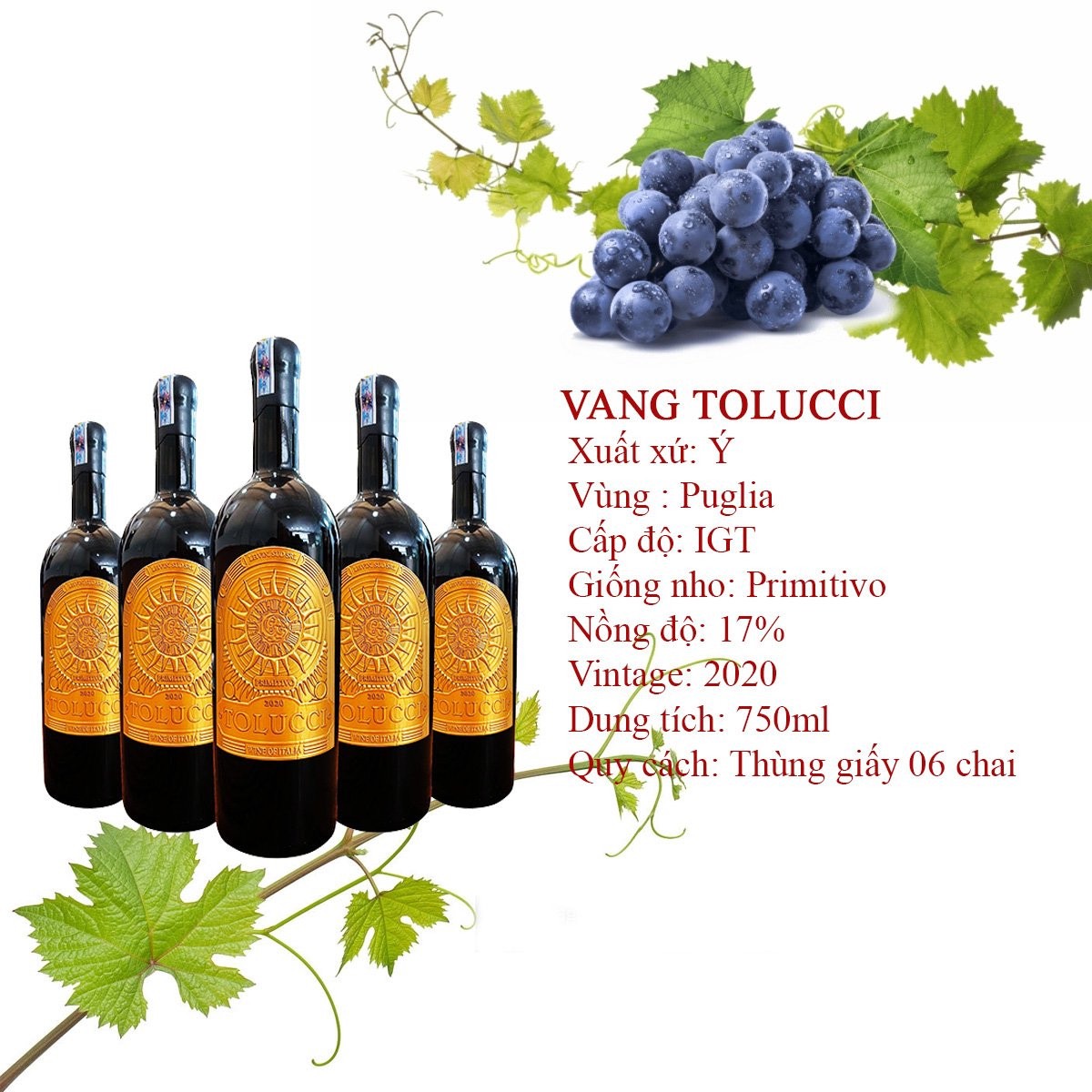 Rượu Vang Ý – Mềm Mại & Dễ Uống