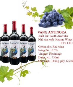 rượu vang úc antinora